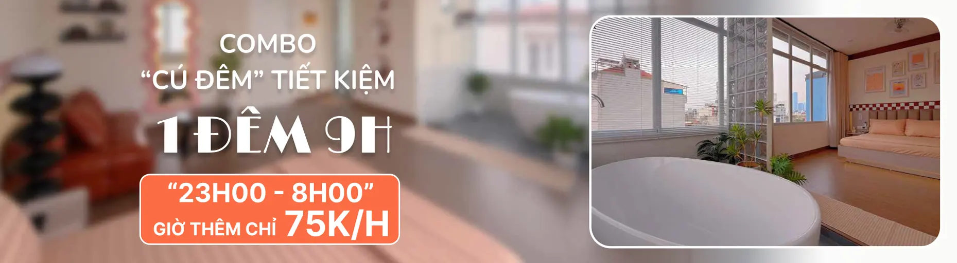 Combo Cú Đêm